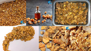 Benzoin Siam Premium puro y natural 100% de la empresa vietnamita suministrada en grandes cantidades - Product Image 4