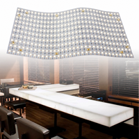 Feuille lumineuse LED RAYMATES découpable, panneau LED flexible blanc 24V intelligent pour sous le revêtement de pierre