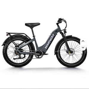 Bicicleta Eléctrica Zebra D5 Más Vendida, Grado Industrial, OEM Personalizado, Garantía de 3 Años, Velocidad Ajustable, Nueva - Product Image 1