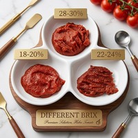 Pâte de tomate en conserve de haute qualité, fraîche, 28-30% Brix, vente en gros, OEM, marque privée, pâte de tomate doublement concentrée
