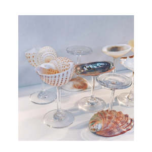 Verres à coquillages fabriqués à partir d'une coquille naturelle authentique pour servir des boissons créatives au bar tiki fabriquées au Vietnam - Product Image 1