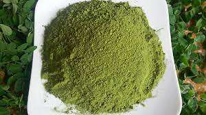 POTENCIA MORINGA DE ALTA CALIDAD DE VIETNAM/ TOP EXPORT MORINGA POWER MEJOR PRECIO - Product Image 5