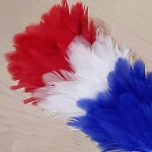Chapeaux à plumes multicolores Haute qualité Prix de gros Plumes à plumes/Vente en gros de plumes personnalisées Hackle à plumes personnalisées - Product Image 5