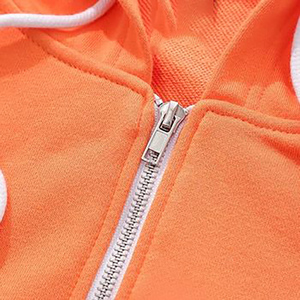 Vente en gros de sweats à capuche à col ras du cou 100% coton de qualité supérieure sweat à capuche lourd avec impression personnalisée logo avant saison d'automne - Product Image 2