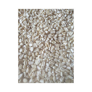 Se vende maíz blanco de primera calidad ideal para alimentación animal e industria alimentaria - Product Image 5