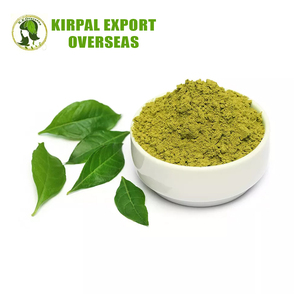 Polvo de hojas de Henna naturales de alta calidad Polvo de mehndi tradicional verde al mejor precio de mercado Semipermanente - Product Image 4