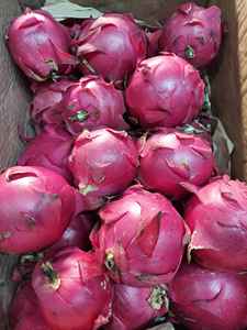 100% ผลไม้มังกรเนื้อแดงสดแบบธรรมชาติรสหวานคุณภาพสูงจากผู้ผลิตเวียดนามสำหรับ2024ส่งออก | ฤดูกาลที่ยิ่งใหญ่ - Product Image 6