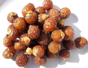 โรงงานซัพพลายสบู่ Soapberry-ผลไม้เบอร์รี่สบู่ Akina - Product Image 5