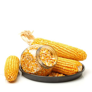 Maíz Glutinoso Amarillo para Consumo Humano, Grado 1, Orgánico, Seco, 25/50 kg, en Bolsa de Polipropileno, Vida Útil de 2 Años - Product Image 3