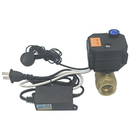 Prix du fabricant pour maison intelligente détecteur de fuite d'eau portable dispositif d'alarme avec vanne à bille électrique arrêt automatique des fuites