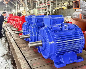 Moteur électrique AC anti-goutte IP55 380V 50Hz 60Hz Moteur asynchrone triphasé Boîtier en fonte du haut Nouveau fabricant - Product Image 5