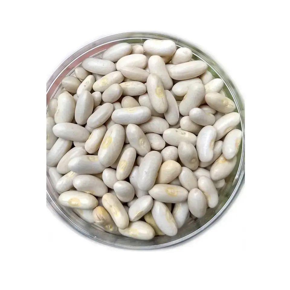 Fagioli bianchi secchi biologici a basso prezzo disponibili | Fagioli bianchi