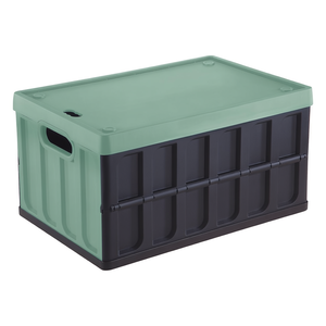 Conteneur pliable (46L) avec couvercle CARGO Noir et Salvia 8034118814 - Product Image 2