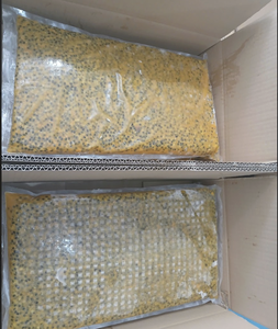 Purée de fruits de la passion surgelés du Vietnam de qualité supérieure, ingrédient tropical authentique pour les sorbets, les jus et les applications culinaires - Product Image 1