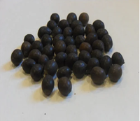 Vente en gros de graines de Nelumbo Nucifera de haute qualité, graines de lotus noires de qualité alimentaire, graines de lotus séchées naturelles, approvisionnement en vrac