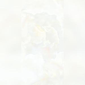 Dalles vitrifiées à haute brillance Bamboo Grove 600x1200mm Zen Serenity pour les salons de thé et les jardins de fusion asiatique - Product Image 6