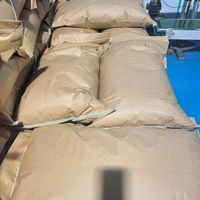 Graines de citrouille vertes brutes de haute pureté triées par couleur – Snacks agricoles en gros de qualité export