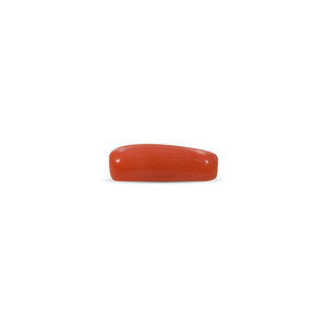 Coral Rojo Pulido de 8.29 Quilates, Gema Blanca de 8 mm de Altura - Product Image 2