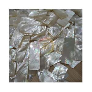 SEASHELL BLANC MOSAÏQUE PLACAGE DE PERLE INSTALLATION POUR LE BRICOLAGE NATUREL MÈRE DE PERLE INLAY SEASHELL SOUPER GLOW - Product Image 1