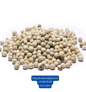 พริกไทยขาว630GL การแปรรูปดิบ Asta สะอาดจากเวียดนาม - Product Image 6