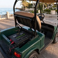 Batterie de chariot de golf au lithium ALEO POWER AL51105 48V 100Ah 200A BMS LiFePO4 avec chargeur 48V 18A, moniteur LCD Bluetooth, 8000 cycles