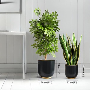Maceta Negra Elegante para Decoración Moderna del Hogar, Ideal para Plantas de Interior, Esquinas de Sala de Estar, Decoración de Pasillos - Product Image 2