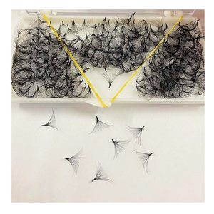 Extensiones de Pestañas Sintéticas Nhu Y Eyelash NY10D 10D de Volumen Completo Hechas a Mano, Nuevo Diseño en Caja, Envío Rápido, Fabricante Vietnamita - Product Image 6