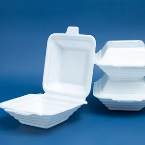 Ps Foam Food Container Met Deksel Lunchbox/Fast Food/Hamburger Wegwerp Trending Producten 2023 Nieuwkomers Milieuvriendelijk