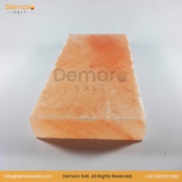2025 Tuiles de sel rose de l'Himalaya bio à la mode 100% briques sculptées naturelles pour la décoration et la salle de sauna directement de la source