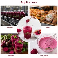 Poudre de jus de betterave, extrait naturel de betterave rouge, qualité alimentaire, extrait végétal pour boissons, pâtisserie et colorant alimentaire