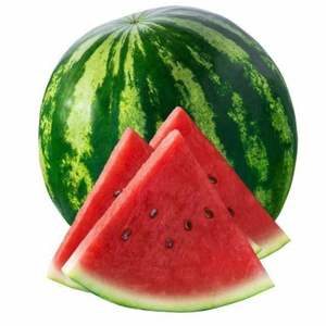 Sandía Dulce Fresca de Alta Calidad |   Cosecha Fresca |   Sandía de pulpa roja de alta calidad para exportación, jugosa y con alto contenido de Brix - Product Image 1