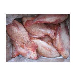 Tilapia Roja Congelada de Grado de Exportación, Suministrada a Granel con Entrega en Cadena de Frío Confiable - Product Image 3