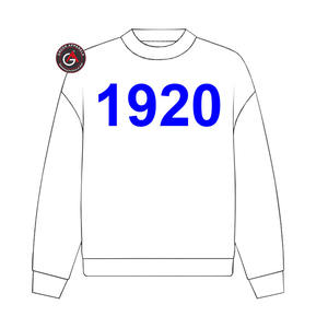 Sudadera con capucha de parafernalia bordada de hermandad de mujeres Zeta Phi Beta griega personalizada - Product Image 3