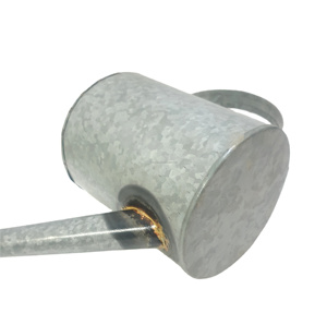 Regadera de Metal galvanizado para jardín, para suculentas o flores de exterior, para decoración de plantas - Product Image 5