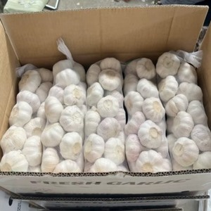 Ajo Blanco Normal / Ajo Rojo / Ajo Morado, Exportación Directa de Fábrica China con Bolsa de Malla Personalizada e Impresión de Logotipo, Fresco - Product Image 1
