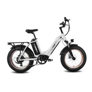 Vélo électrique cargo HAOQI Antelope Pro 750W à double batterie (certifié) - Product Image 1