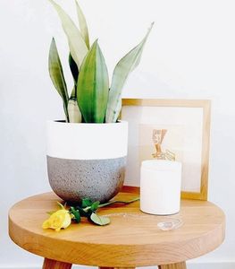 Servicio de OEM, macetas y macetas de hormigón redondas lisas, jarrón de suelo de estilo bohemio para plantar, precios al por mayor a granel - Product Image 3