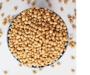 Graines de soja jaunes naturelles et sans OGM de haute qualité brésilienne fournisseur brésilien de haute qualité à bon prix non - Product Image 1