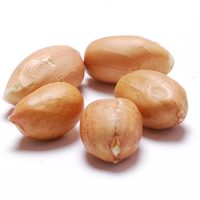 Arachides crues séchées biologiques en coque, qualité supérieure, 100% naturelles, origine américaine, scellées sous vide, collation saine