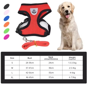 Arnés y Correa para Mascotas, Transpirable, para Perros Pequeños y Grandes, Productos para Exteriores, Venta Caliente del Fabricante - Product Image 2
