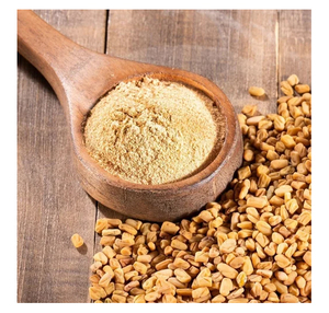 ผงสกัดเมล็ดฟีนูกรีก (เมธี) อินเดียแท้ คุณภาพเยี่ยม สารสกัดสมุนไพร อาหารเพื่อสุขภาพ เกรดอาหาร ฮีร์โบจิต อินเตอร์เนชั่นแนล - Product Image 1