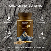 Pure Shilajit HerbalCapsules Boost Stamina Energy & Vitality avec Minéraux Naturels OEM ODM Export Japon