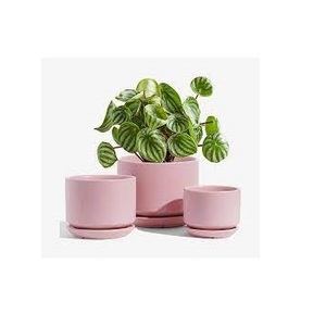 Pot de fleur en métal fait à la main en usine personnalisé floraison petite jardinière fournitures en gros jardinière de fleurs - Product Image 6