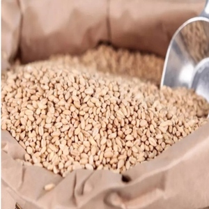 Té de cebada orgánico tostado, granos de cebada secos naturales, té de cebada a granel al por mayor, té de hierbas de cebada marrón - Product Image 4