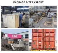 Industriële productielijn voor het continu frituren van bananenchips met grote capaciteit, lijn voor de verwerking van fruit snacks