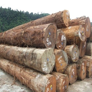 Doussie Timber Venta al por mayor de EE. UU. Tamaños comerciales Precio perfecto Calidad superior Tablero africano Ecológico Resistente al agua - Product Image 1
