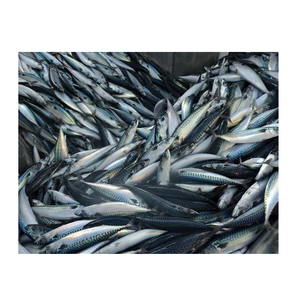 Fresh & Frozen Mackerel <b>Fish</b> in Bulk Stock From Netherlands Manufacturer Option for Fishes - Product Image 2