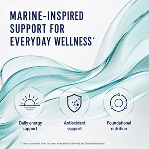 Concentré Liquide Avancé de Phytoplancton Marin avec Zinc et Sélénium <span class=keywords><strong>pour</strong></span> <span class=keywords><strong>le</strong></span> Soutien Complet du Bien-être Corporel – Supplément ODM en Vrac - Product Image 2