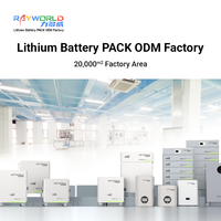 Harga Pabrik Rayworld 51.2V 100Ah LiFePO4 Baterai Penyimpanan Energi Rumah Cadangan yang Dipasang di Rak 4500 Siklus