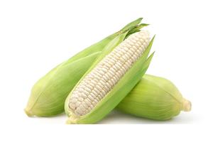 ข้าวโพดสีขาว - Product Image 4